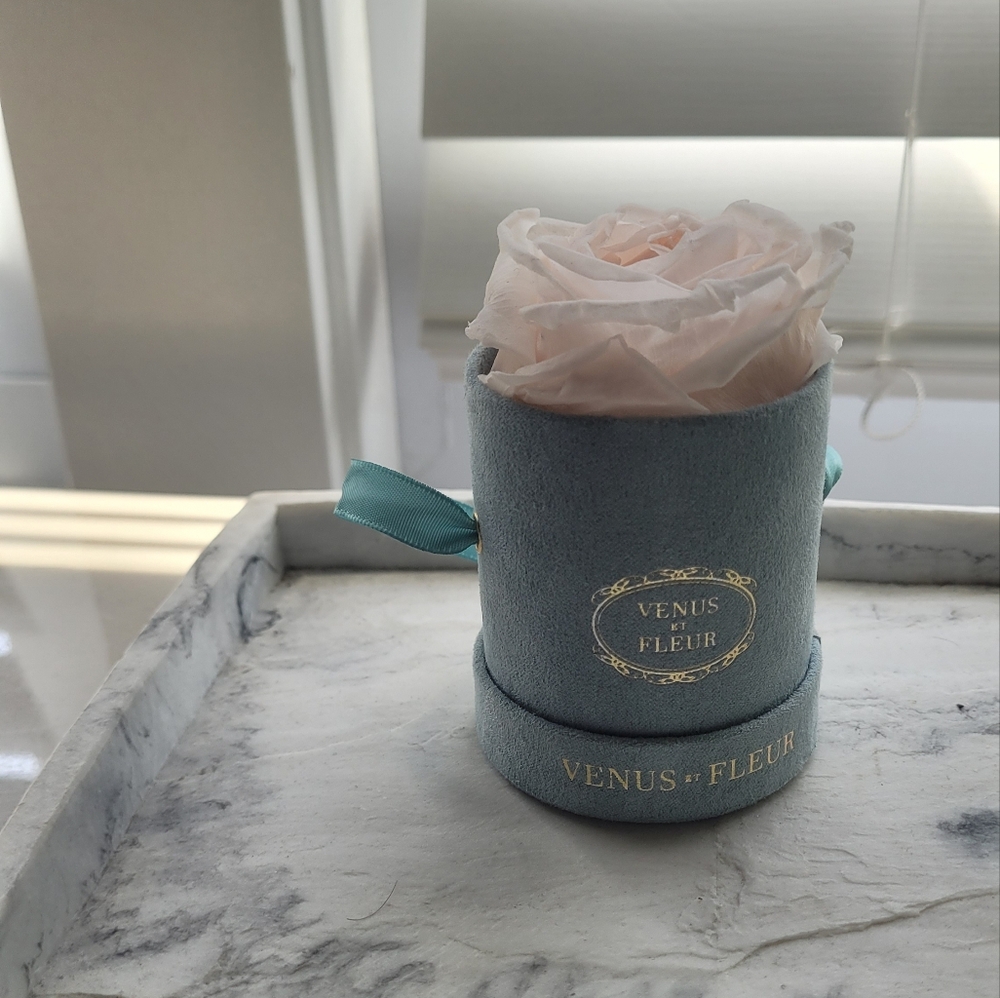 Venus Et Fleur Velvet Rose Box